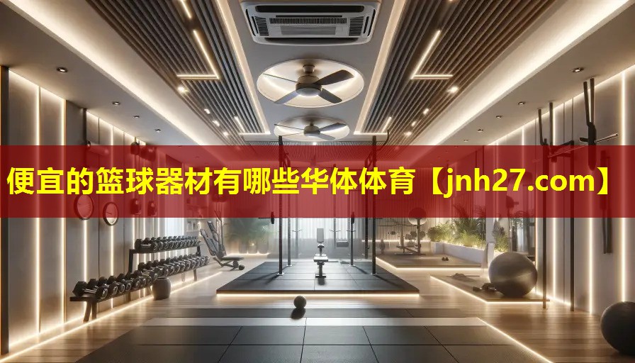 便宜的篮球器材有哪些华体体育