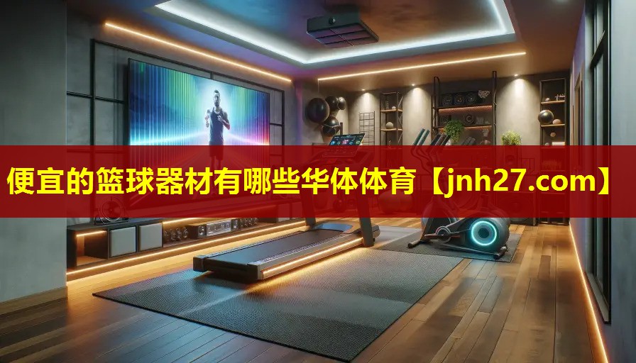 便宜的篮球器材有哪些华体体育