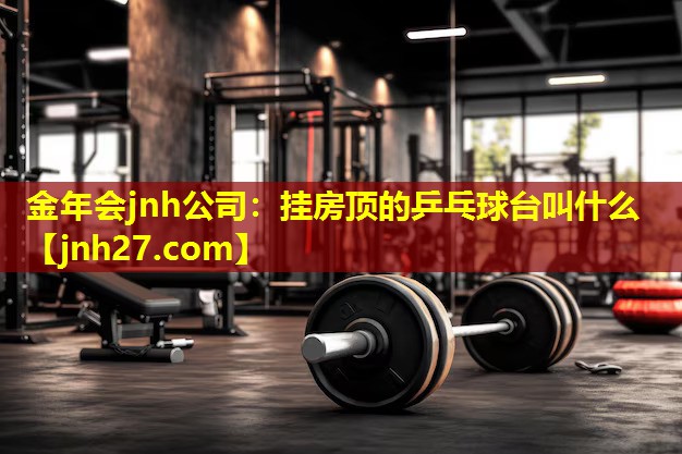 挂房顶的乒乓球台叫什么